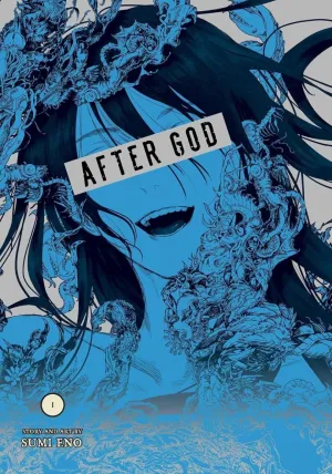 After God GN Vol 01