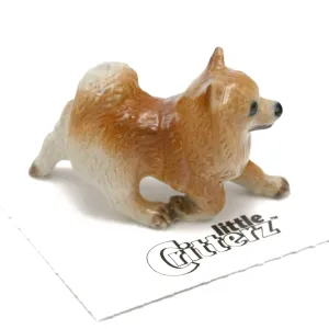 Dog  - Pomeranian  "Marco" - miniature porcelain figurine