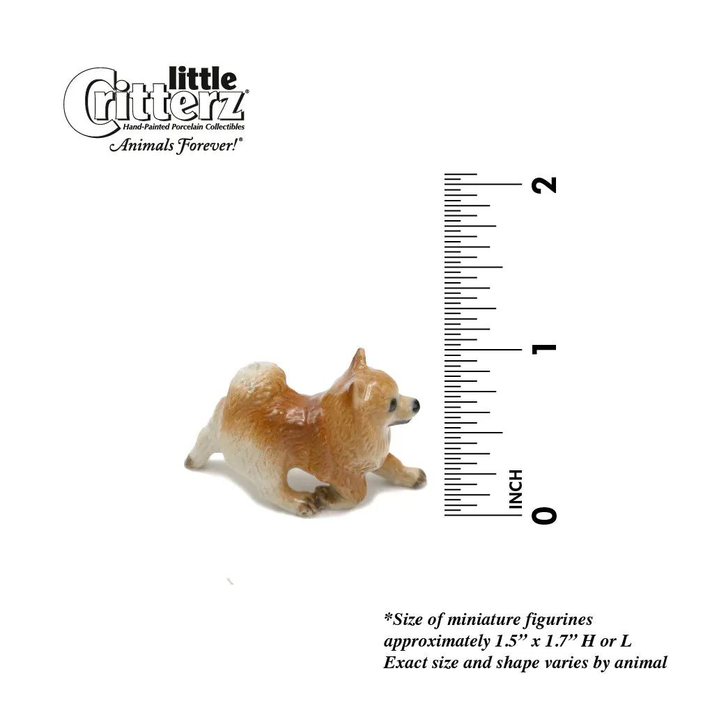 Dog  - Pomeranian  "Marco" - miniature porcelain figurine