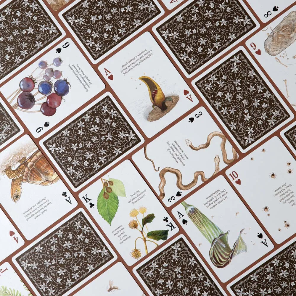 Eastern Forest Playing Cards