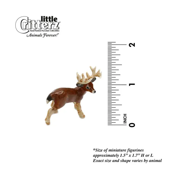 Little Critterz™ - Field & Forest
