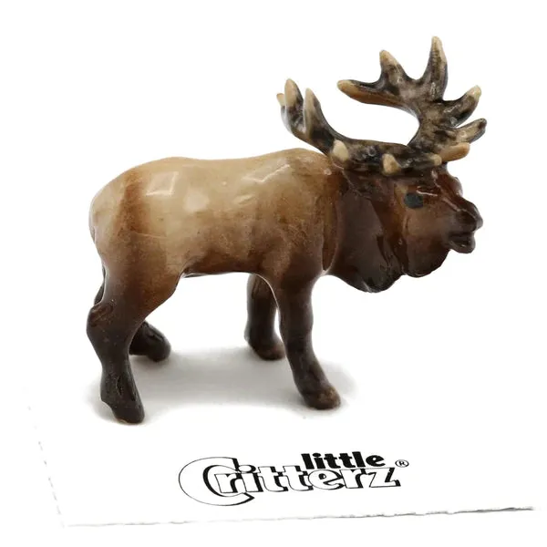 Little Critterz™ - Field & Forest