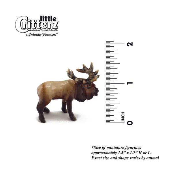 Little Critterz™ - Field & Forest